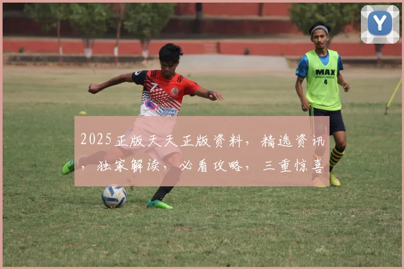 2025正版天天正版资料，精选资讯，独家解读，必看攻略，三重惊喜，不容错过