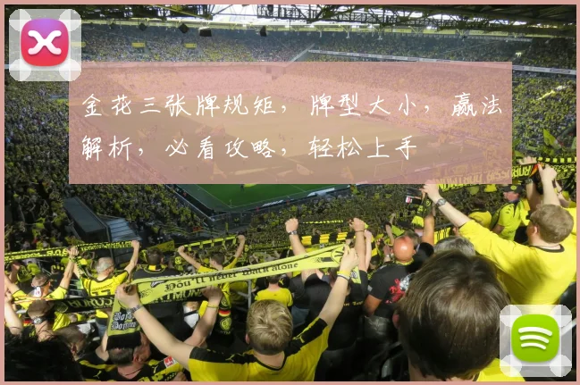 金花三张牌规矩，牌型大小，赢法解析，必看攻略，轻松上手