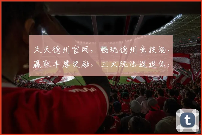 天天德州官网，畅玩德州竞技场，赢取丰厚奖励，三大玩法逗逗你，快来体验吧