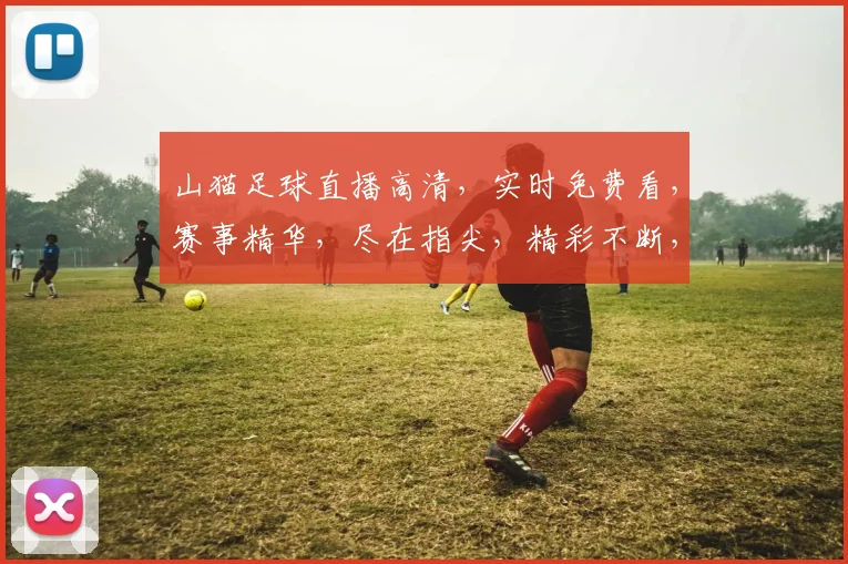 山猫足球直播高清，实时免费看，赛事精华，尽在指尖，精彩不断，不容错过，