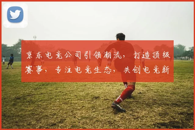 京东电竞公司引领潮流，打造顶级赛事，专注电竞生态，共创电竞新纪元，赋能电竞产业