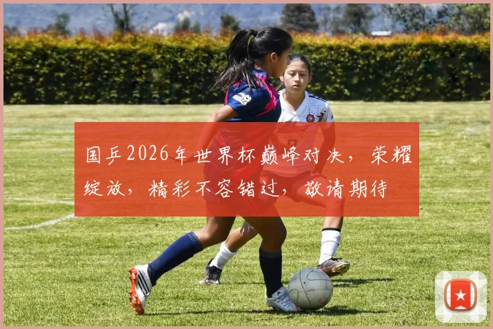 国乒2026年世界杯巅峰对决，荣耀绽放，精彩不容错过，敬请期待